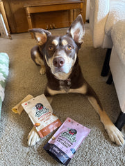 Lenny's Human's dog
