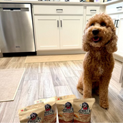 Poppy's Human's dog